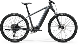 MERIDA eBIG.NINE 675 (2025) Cool Grey(Black)